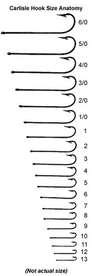 Different hook sizes (not to scale)