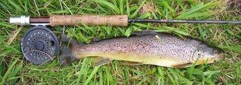 Fly rod and reel with a wild brown trout from a chalk stream.