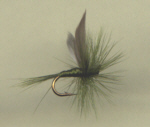 "Blue Winged Olive", a classic dry fly for trout.